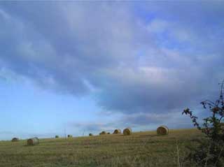 Neighbouring Field